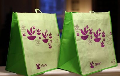Eco Friendly Recycled Grocery Bags can be Beneficial for Shopping Purposes